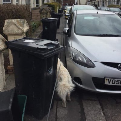 Rating the lengths drivers go to park on the pavement at every opportunity. Current record: 18 points.