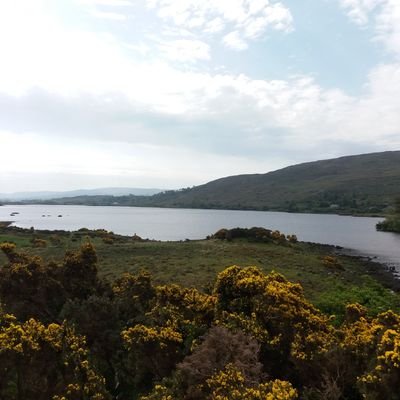 sallyrowlands's profile picture. 