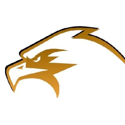 AnalyticsFalcon's profile picture. We Make Trading More Simple More Pleasant & More Productive