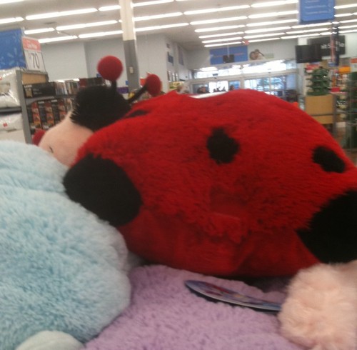 laydefly's profile picture. The human of @BLClaudine, @BL_SteveNewlin and @BL_Lindsey You think any of those characters are crazy just wait until you get to know the human behind them.