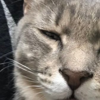 アカウントを変えます。できる限りのフォローはしましたが、できなかった人はツイート固定したのでそこから