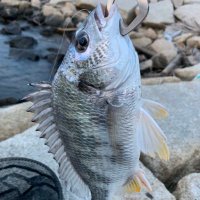 Hiro71 (@chi335) 's Twitter Profile