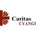 CARITAS CYANGUGU (@caritascyangugu) Twitter profile photo CARITAS CYANGUGU (@caritascyangugu) Twitter profile photo