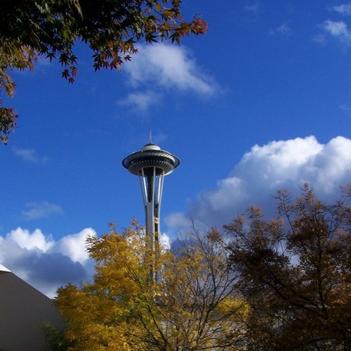 savagedoo's profile picture. 