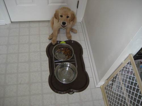 RalphBarthold's profile picture. 