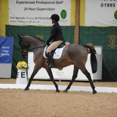 Fighting #MultipleSclerosis on horseback! Grade 2 Para-Dressage rider & her cheeky boy River. #disabled #mswarrior #paradressage #thisisms