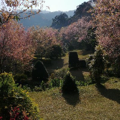 corinne_prd's profile picture. #SEO, qui aime découvrir d'autres cultures