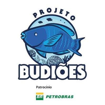 O projeto Budiões é uma iniciativa de conservação marinha no Brasil, com foco nos Budiões e financiado pelo Programa Petrobras Socioambiental