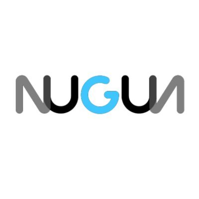 Your one stop shop for Motor Racing Hybrid Wheel Guns – NUGUN are the go to specialists in high performance wheel guns and related equipment - #F1 #Wheelguns