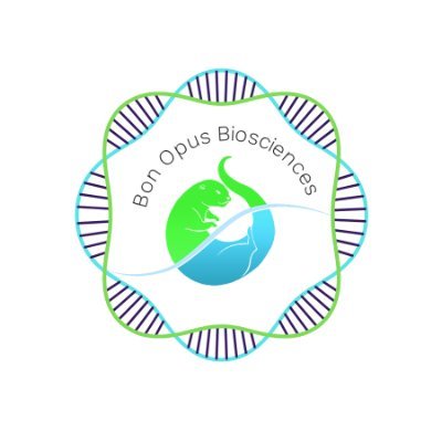 Our reagents, your discovery, from gene to recombinant biologics. Find out $500 mAb package and more! Email info@bonopusbio.com for a quote.