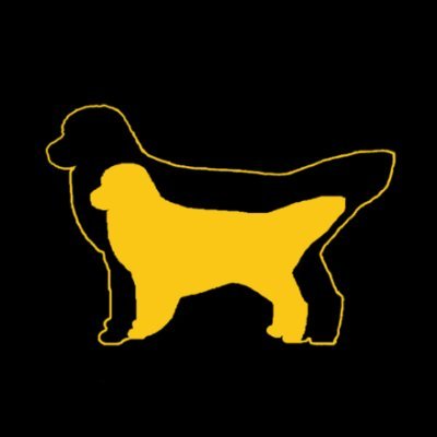 The world’s first and finest miniature Golden Retriever. All the fun of a Golden in a more comfortable size.
Find your Comfort. 👇
https://t.co/WiwVDzmHTP
