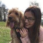 HannahLawless02's profile picture. (She/Her)