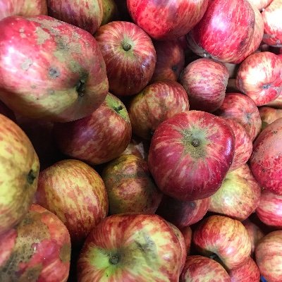 Reading Cider Club exists to hold special tastings of the best cider and perry for its members around Reading and Berkshire