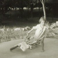 Lynelle Howson 🇪🇺🏳️‍🌈 (@lmhowson) 's Twitter Profile