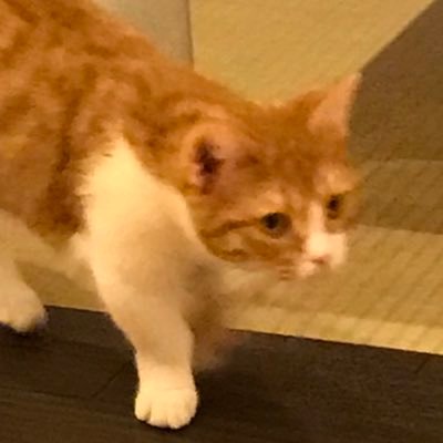 小宮果穂をすこれ