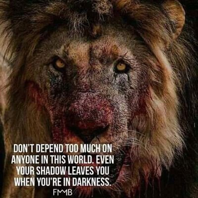 tsepo67931117's profile picture. love special. author. ❤💌