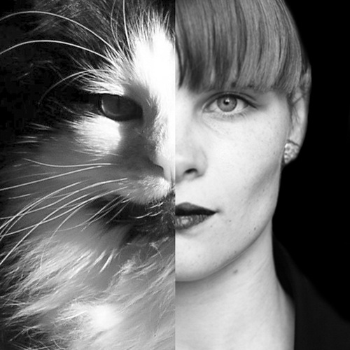 McMieny's profile picture. 