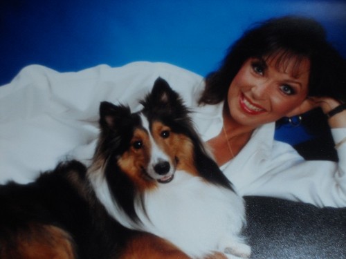 Semi-retired Middle Eastern Dancer in the Twin Cities self-employed loves Shelties, training obed and freestyle &creating costumes