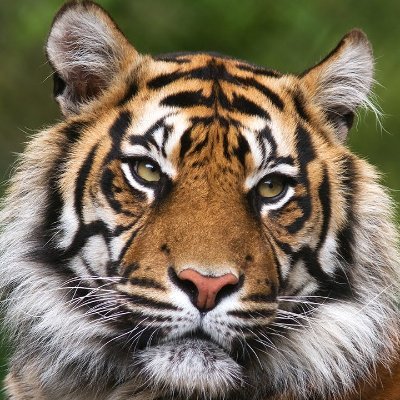 All views are my own! RT’s = Look at this!! RT’s and Follows not endorsements, I’m just sharing, curious and accepting!