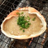 カタクチペンギン🐧 (@veryveryzako) Twitter profile photo