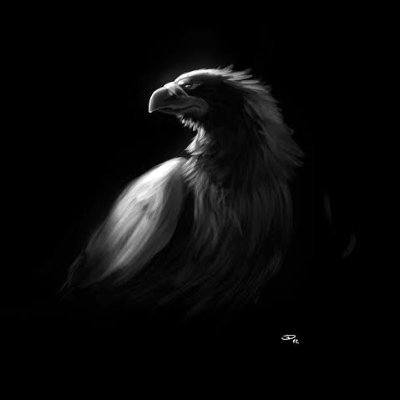 aayeshasajidali's profile picture. فقط ذوق پرواز ہے زندگی 🦅✨