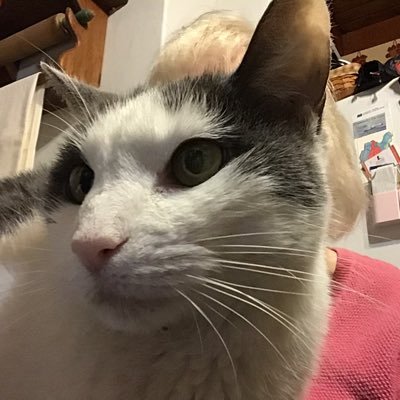 Joann36133689's profile picture. 