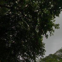 . (@s8686ii) 's Twitter Profile