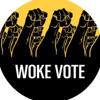 woke vote (@wokevoteus) 's Twitter Profile Photo woke vote (@wokevoteus) 's Twitter Profile Photo