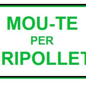 Plataforma pel Transport Públic de #Ripollet.🚏
