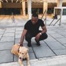 kingyemigold's profile picture. My favorite animal is the king of the jungle.