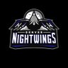 SFL_Nightwings's profile picture. The official Twitter of the Denver Nightwings.
A @Simulationfl pro franchise
Season 13 & 16 Champions 🏆🏆
Established April 8th 2018
Majority Owner Jeremy Vega