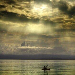 abdelraheem_abo's profile picture. 