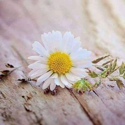 ‏‏‏‏إسمي فوق☝️☝️
خريجة محاسبة 2016 🎓🎓👩‍🎓
جامعة الاقصى🎓👩‍🎓👩‍🎓
نورت الدنيا ب 30/4/1994