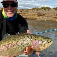 Drinks, Food, & Fish by BrainWines (@brainwines) 's Twitter Profile