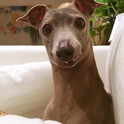 KanupriyaAnand1's profile picture. we can create the world that we want to leave behind- one step at a time.