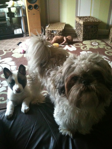 phillipsstacie's profile picture. im all good