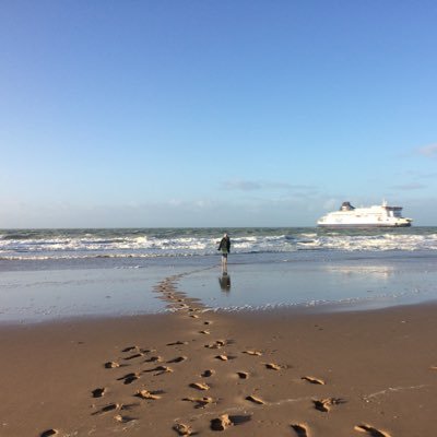 Ms_DNL's profile picture. 