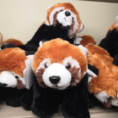 GingerThug's profile picture. Arme de destruction massive contre la droite