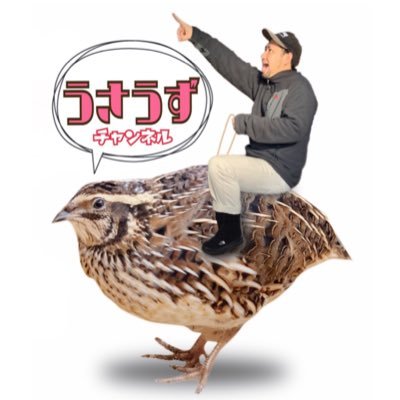 動物と草刈りしながら田舎で暮らすおじさん🧑🔧DIYに使う道具やガジェットの紹介もしてます。 J-MIX model agency所属