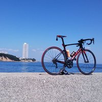 しじみ (@yosshychan) 's Twitter Profile