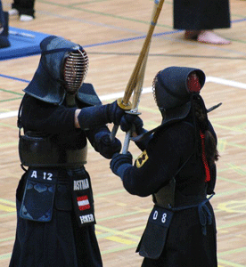 Istanbul Kenshikai is a kendo and iaido dojo founded by Mine Erşen  with permission of her sensei and Kami Nagasaki Kenshikai's founder, Hirose Daisuke.