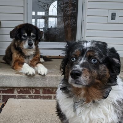 LindaF_D's profile picture. 