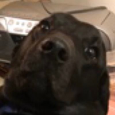 farnham_caleb's profile picture. hi mom