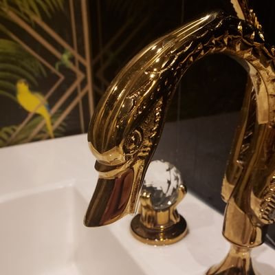 Koipond3's profile picture. 