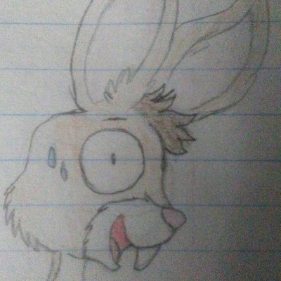 Dani the Bunnyさんのプロフィール画像