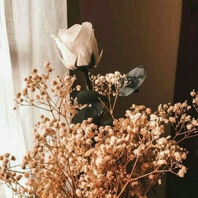 @irfanhayqal1 💍