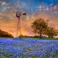 ATF Houston (@atfhouston) 's Twitter Profile