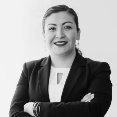 Asesor Profesional de Seguros