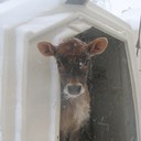 Kate Deters - @khuisjen - Twitter