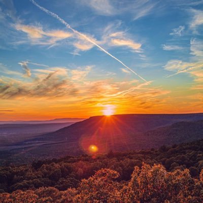 nycisee8's profile picture. 